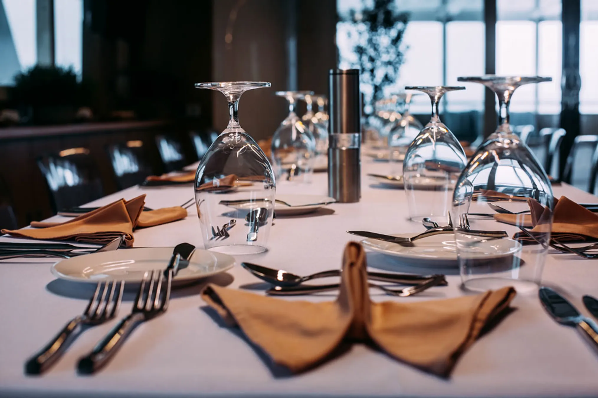 SFW 31 Alice dining area